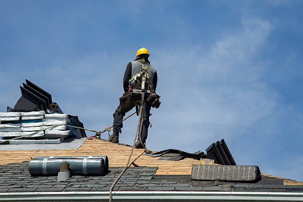 Professional Roof Replacement technician working in Hamilton, IA